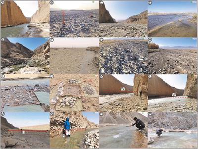 Evaluation of the Fluvial Response to Tectonic Uplift From Grain-Size Distribution in Riverbed Gravels at the Northeastern Margin of the Tibetan Plateau